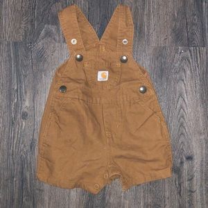 3M carhartt overalls